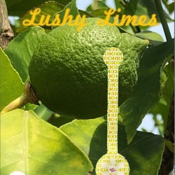 Toilet Tape - Lushy Limes