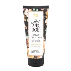 Repair Conditioner