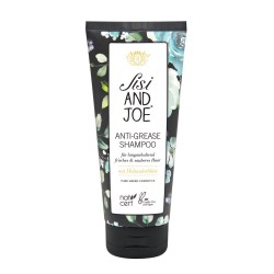 Anti-Fett Shampoo