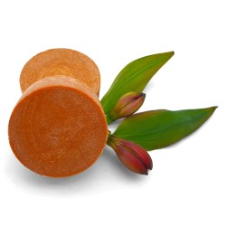 Fester Haarbalsam - Mango