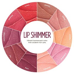 Lip Shimmer - Lipgloss und Pflege