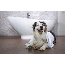 Hundeshampoo - Universal