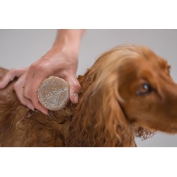 Hundeshampoo - Langhaar