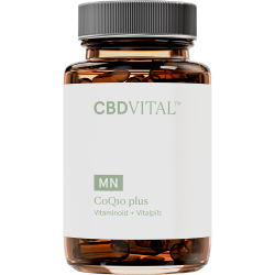 Coenzym Q10 plus - Vitaminoid + Vitalpilz