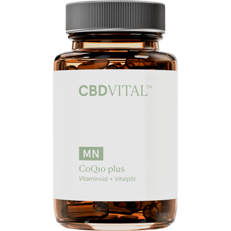Coenzym Q10 plus - Vitaminoid + Vitalpilz