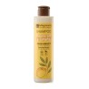 Bio-Shampoo - Salbei & Zitrone