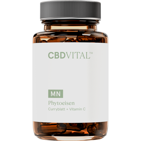 Phytoeisen - Natürliches Eisen aus dem Curryblatt