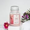 Sweet Angel - Duftkerze 623g